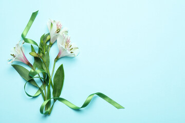 Lilies with green ribbon on blue background
