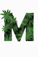 The English letter of the alphabet M, isolated on a white background. Stylized with a collage of a photo of a lupin flower leaf. Concept: graphic design, decorated font.