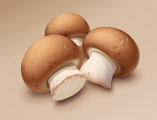 Champignon. Whole mushroom. Eps10 vector illustration.