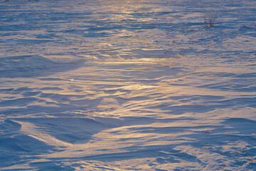 View of the snowy field at sunset. The sun is reflected in the snow. Natural background. - 479732737