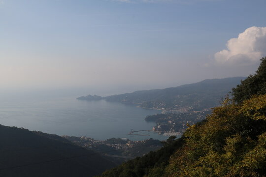 mare, viale alberato, viale in pineta marina, spiaggia, alba panorama, Rapallo, pini marittimi, costa ligure, toscana.