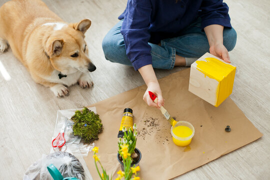 girl and corgi dog painting a yelow wooden pot for flowers at home - spring home renovation and diy projects for easter