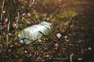 Used plastic water bottle in the forest, waste, pollution and recycling concept