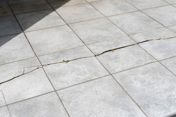 Fototapeta premium Old and broken cracked outdoor concrete floor tiles