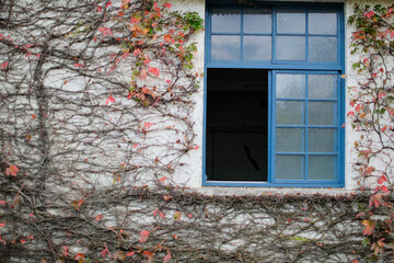 window on the wall