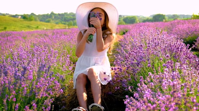 Child girl in flowers lavender field. Selective focus.