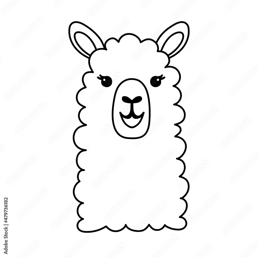 Wall mural hand drawn funny portrait of baby llama. black and white line drawing for coloring page . cute outli