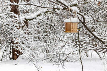 The bird feeder weighs on a tree branch in a winter forest. The bullfinch bird sits on the feeder....