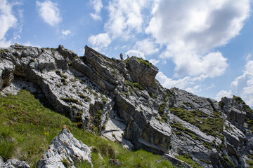 rocky mountain landscape