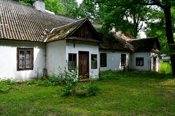 Fototapeta na wymiar A close up on an old abandoned house with its roof almost entirely covered with vines and with other flora and with some decorations around the windows seen in the middle of a dense forest or moor 
