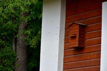 A close up on a small wooden bee hive with some bees flying from and to it hanging on a wooden wall of a building spotted next to a massive old forest or moor seen on a sunny summer day in Poland