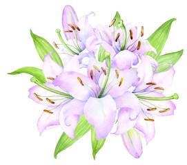Naklejka premium Bouquet white lilies, pink lilies, flowers and buds watercolor flower arrangement