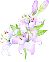 Bouquet white lilies, pink lilies, flowers and buds watercolor flower arrangement