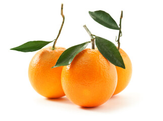 Orange fruit on the white background