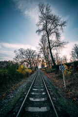 Obraz premium railroad tracks in the morning with speed sign