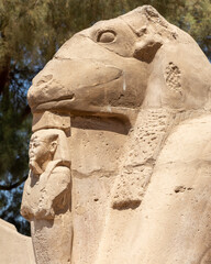 Ancient architecture of Karnak temple in Luxor, Egypt
