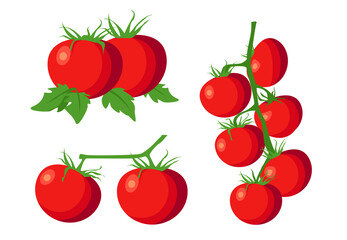 Fresh branches tomato with green leaf in cartoon style. Vector tomato isolated on a white background.
