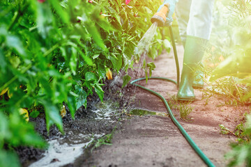 Woman wearing rubber boots watering flowers in garden. Girl use garden hose pistol at summer.