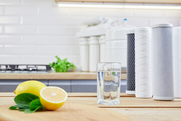 Glass of filtered clean water with reverse osmosis filter, lemons and cartridges on table in...