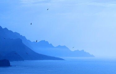 West coast of Gran Canaria, Canary Islands, Spain.