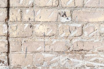 The background is made of a brick wall with rough cement seams and cracks
