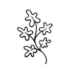 Cute single hand drawn herbal  element. Doodle vector illustration of twig for wedding design, logo and greeting card. Isolated on white background. Branch.     
