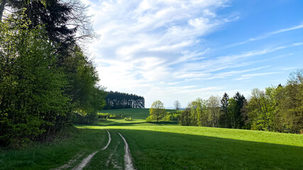 path in the meadow in Liberec region, Czech Republic