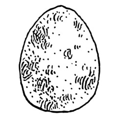Whole quail egg. Vintage vector engraving black illustration. Isolated on white