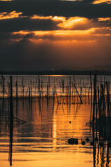 sunset in the albufera of valencia