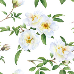 Fototapeta na wymiar Seamless floral pattern with bouquets of the wild white roses, buds and green leaves hand drawn in watercolor isolated on a white background. Watercolor floral pattern. 