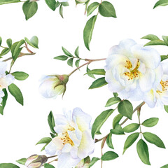 Seamless floral pattern with bouquets of the wild white roses, buds and green leaves hand drawn in watercolor isolated on a white background. Watercolor floral pattern.	
