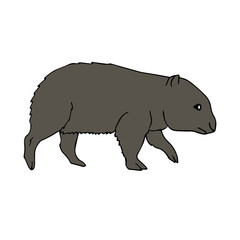Vector hand drawn doodle sketch colored wombat isolated on white background