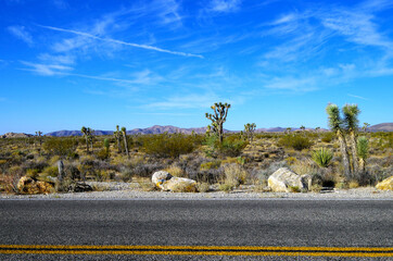 Empty country road highway Interstate in desert Joshua Tree Monument National Park in Summer heat