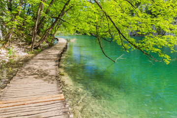 Fototapeta premium Boardwalk in Plitvice Lakes National Park, Croatia