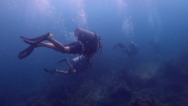 A group of scuba divers in heavy plantkon filled water - Under water film of tropical waters in Thailand