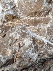stone texture and veins on it close-up