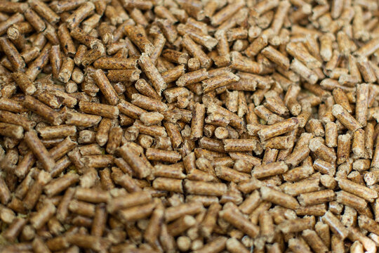 żwirek cat litter dla kot&oacute;w
