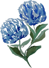 Blue Flowers Vector Watercolor Florals isolated on white