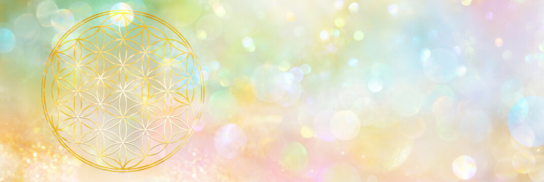 Banner mit goldener Blume des Lebens in einem pastellfarbenen Feld funkelnden Lichts 