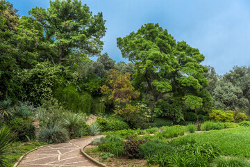 alley in the Nikitinsky Botanical Garden