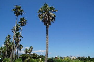 Obraz premium SONY DSC