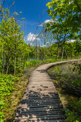 Obraz premium Boardwalk in Plitvice Lakes National Park, Croatia
