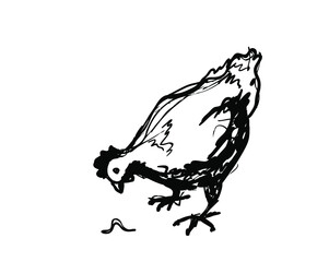 Vector rough ink sketch of the chicken