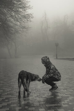 A boy feels sorry for a homeless wet dog on a cold foggy street - black and white photo