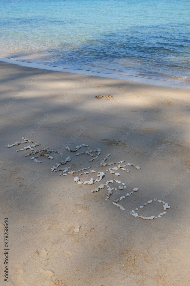 Fototapete the shell is arranged as a message of protecting the world on the sandy beach.