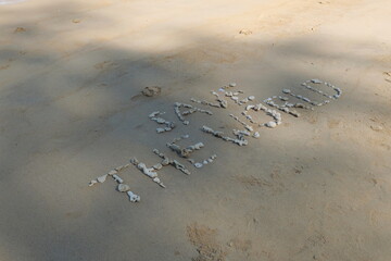 The shell is arranged as a message of protecting the world on the sandy beach.