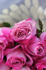 pink roses bouquet
