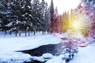 Winter landscape with frozen trees and river in a snowy forest with northern sun
