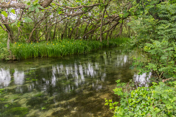 Krka river in Krka national park, Croatia