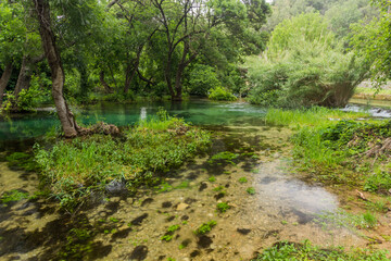 Krka river in Krka national park, Croatia